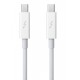 Apple Thunderbolt Cable (0.5 m)