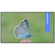 BENQ panel 55" ST5504/ Digital Signage/ UHD 4K/ provoz 18/7/ 2x HDMI/ RJ45/ 2x USB/ Android