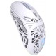 Endorfy myš LIV Wireless Onyx White / PAW3311 / Khail GM 4.0 / ARGB / bezdrátová / ultralehká / bílá