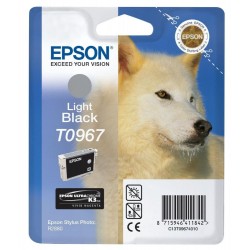 Epson inkoustová náplň/ C13T09674010/ Stylus 2880/ Světlá Černá