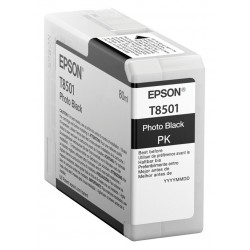 Epson inkoustová náplň/ C13T850100/ Photo černá
