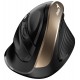 GENIUS Ergo 8250S Champagne Gold/ vertikální/ 1600 dpi/ bezdrátová/ 6tlačítek/ tichá/ černozlatá