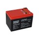 GOOWEI ENERGY trakční baterie (LiFePO4) CNLFP12-12.8, 12Ah, 12.8V