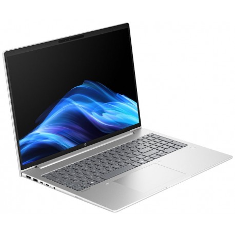 HP ProBook 4 G1a/ Ryzen™ 3 210/ 16GB DDR5/ 512GB SSD/ Radeon™ Graphics/ 16" WUXGA,matný/ W11P/ stříbrný