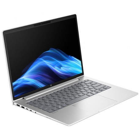 HP ProBook 4 G1a/ Ryzen™ 5 220/ 16GB DDR5/ 512GB SSD/ Radeon™ Graphics/ 14" WUXGA,matný/ W11P/ stříbrný