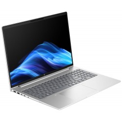 HP ProBook 4 G1a/ Ryzen™ 5 220/ 16GB DDR5/ 512GB SSD/ Radeon™ Graphics/ 16" WUXGA,matný/ W11P/ stříbrný