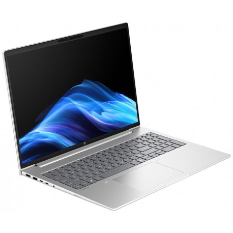 HP ProBook 4 G1a/ Ryzen™ 5 220/ 32GB DDR5/ 512GB SSD/ Radeon™ Graphics/ 16" WUXGA,matný/ W11P/ stříbrný