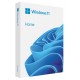 Microsoft WINDOWS 11 Home 64-bit Czech USB FPP - krabice