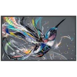 PHILIPS displej 49,5" 50BDL3511Q / Q-Line/ VA/ 4K UHD/ 60Hz/ 8ms/ 4000:1/ 18/7/ HDMI, DVI, VGA, RS232, RJ45, USB