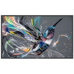 PHILIPS displej 64,5" 65BDL3511Q / Q-Line/ IPS/ 4K UHD/ 60Hz/ 8ms/ 1300:1/ 18/7 / HDMI, DVI, VGA, RS232, RJ45, USB