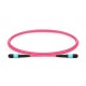 XtendLan FO patch MPO(f)-MPO(f), 1m, OM4, 12/12, kabel kulatý 3mm, křížený (Type B)