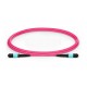 XtendLan FO patch MPO(f)-MPO(f), 2m, OM4, 12/12, kabel kulatý 3mm, křížený (Type B)