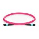 XtendLan FO patch MPO(f)-MPO(f), 2m, OM4, 12/12, kabel kulatý 3mm, přímý (Type A)